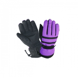 Ski Gloves